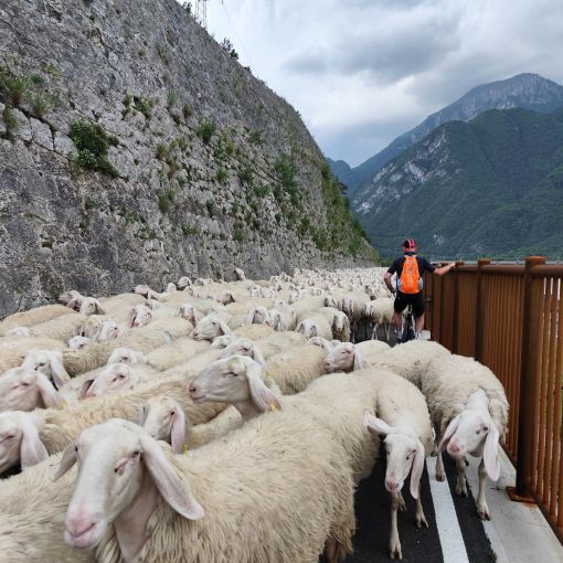 2025 06 02 cyklozajazd od alpk jadranu   