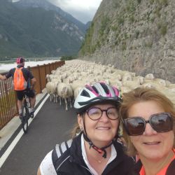 2025 06 02 cyklozajazd od alpk jadranu   