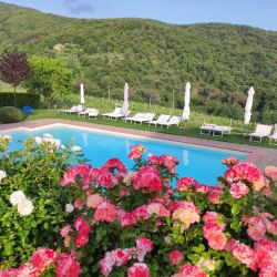 jazykovy pobyt v toskansku s brainy jam 