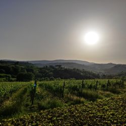 jazykovy pobyt v toskansku s brainy jam 