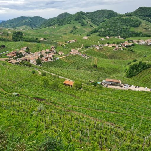 jazykovy pobyt v toskansku s brainy jam 