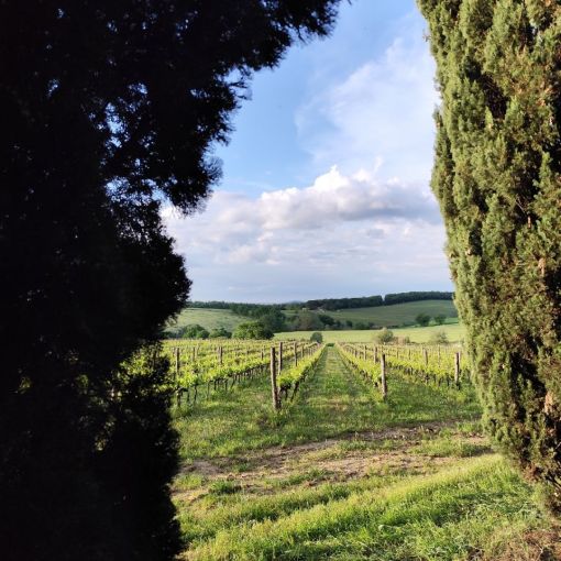 tvorivy pobyt v malebnom toskansku .18