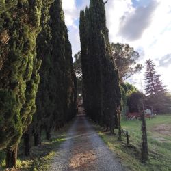 tvorivy pobyt v malebnom toskansku .19