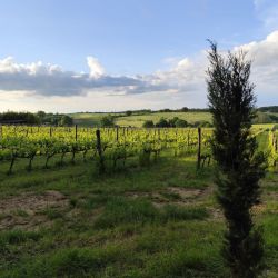 tvorivy pobyt v malebnom toskansku .20