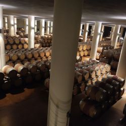 2026 vinna cesta po toskansku