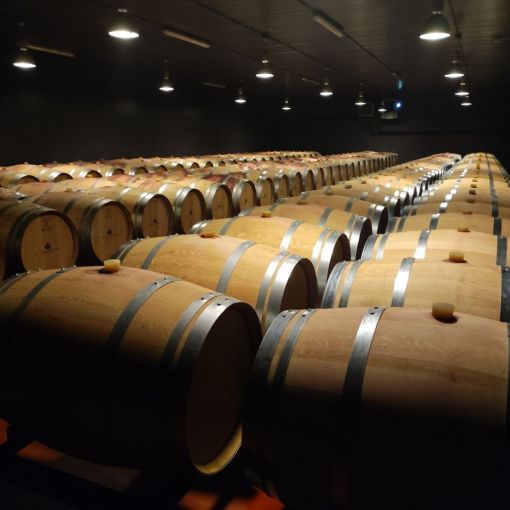 2026 vinna cesta po toskansku