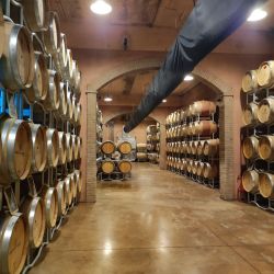 2026 vinna cesta po toskansku