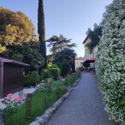 2026 vinna cesta po toskansku