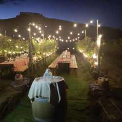 2026 vinna cesta po toskansku